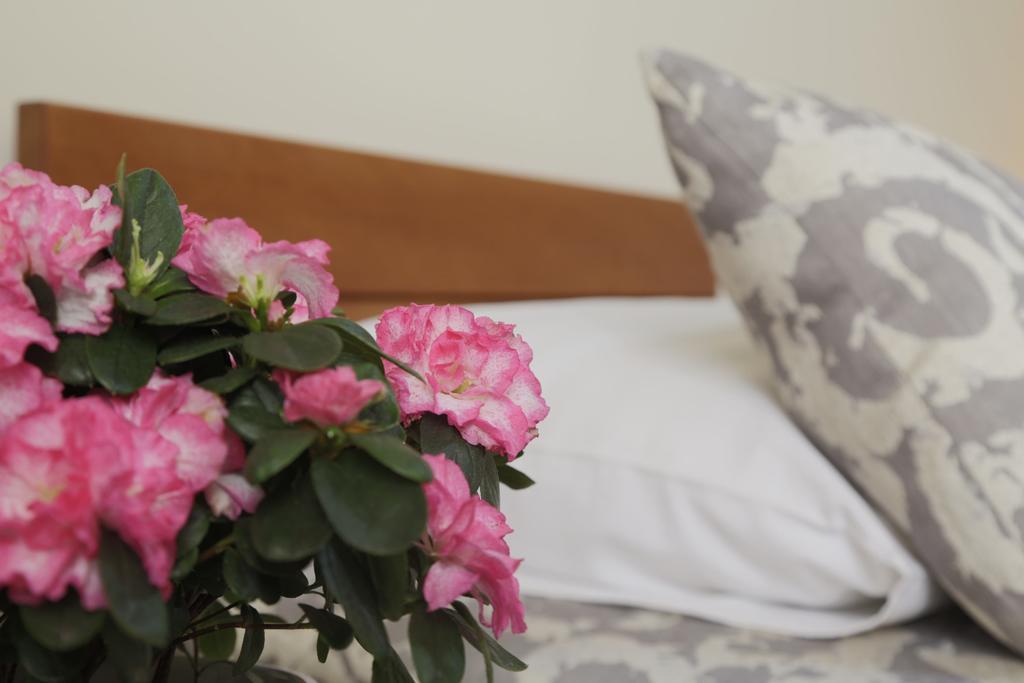 Accommodation Tara Beograd Ngoại thất bức ảnh